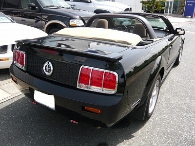 1271130358P1020111.jpg